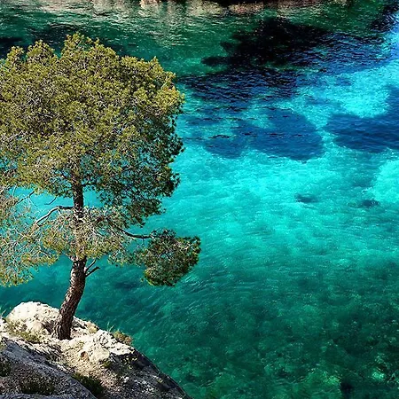 Un Jardin Sur La Mer アパート カシ