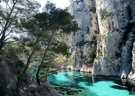 Un Jardin Sur La Mer * カシ