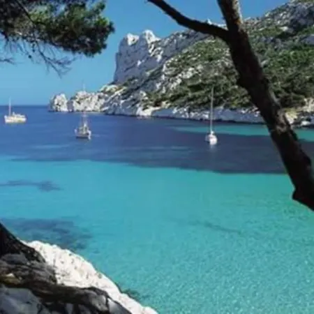Un Jardin Sur La Mer * カシ