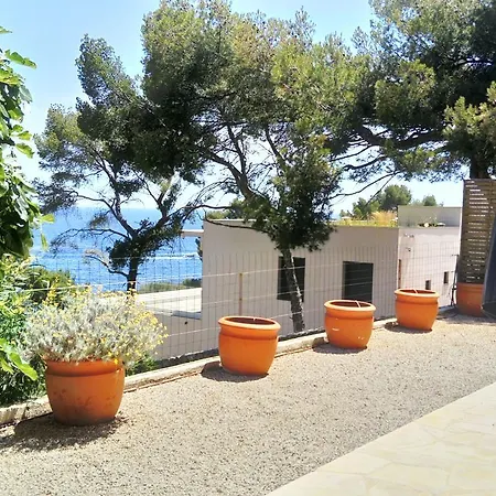 アパート Un Jardin Sur La Mer カシ