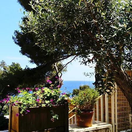 Un Jardin Sur La Mer * カシ