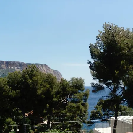 Un Jardin Sur La Mer * カシ